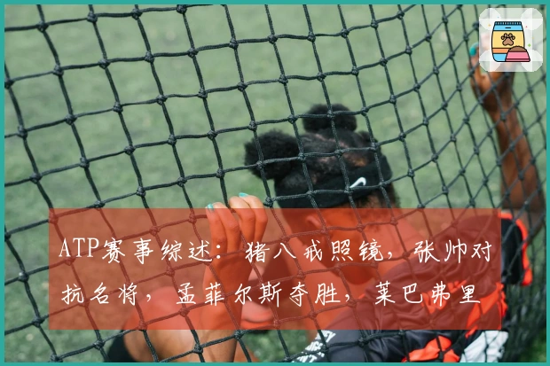 ATP赛事综述：猪八戒照镜，张帅对抗名将，孟菲尔斯夺胜，莱巴弗里茨卫冕