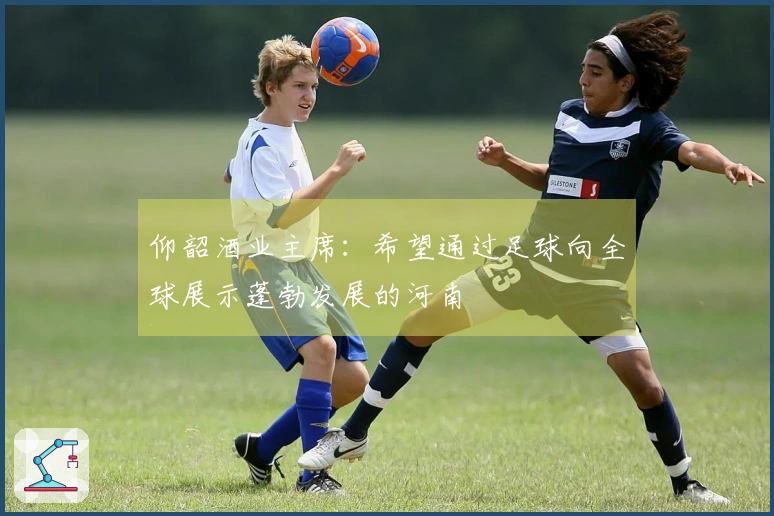 仰韶酒业主席：希望通过足球向全球展示蓬勃发展的河南