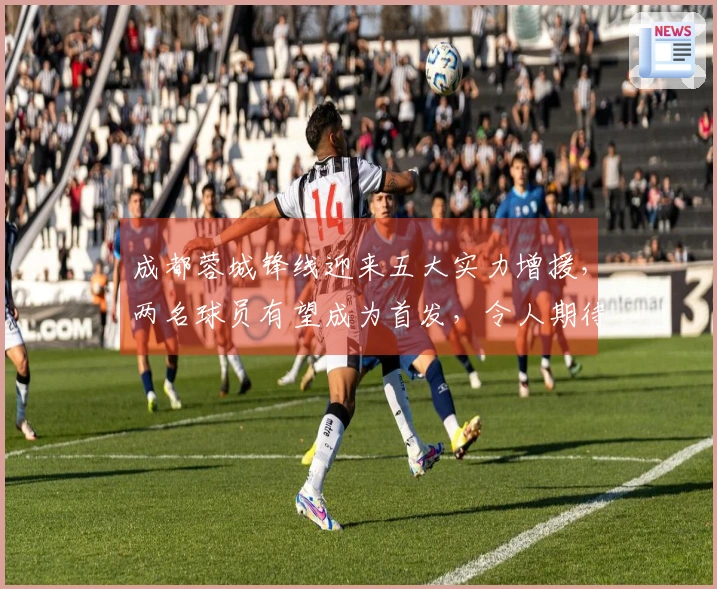 成都蓉城锋线迎来五大实力增援，两名球员有望成为首发，令人期待